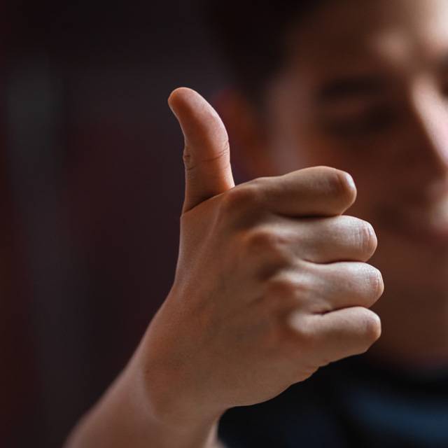 Alle Stellenangebote