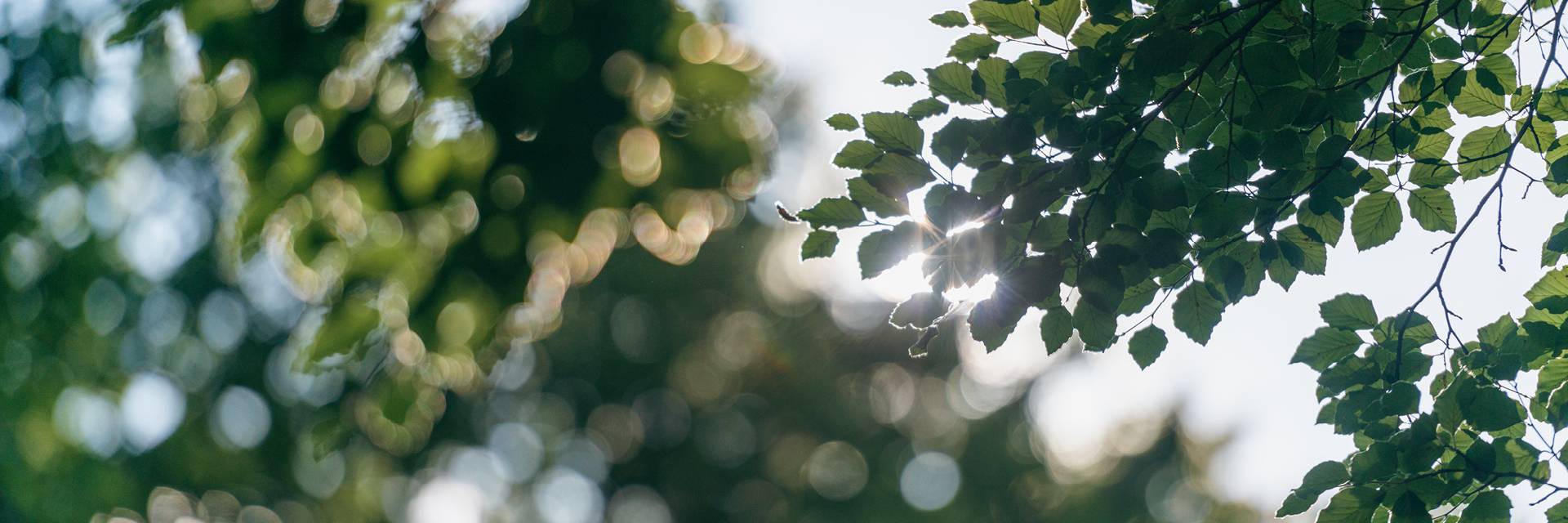 HEITKAMP Nachhaltigkeitsstrategie